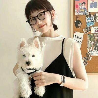 司法所里的故事